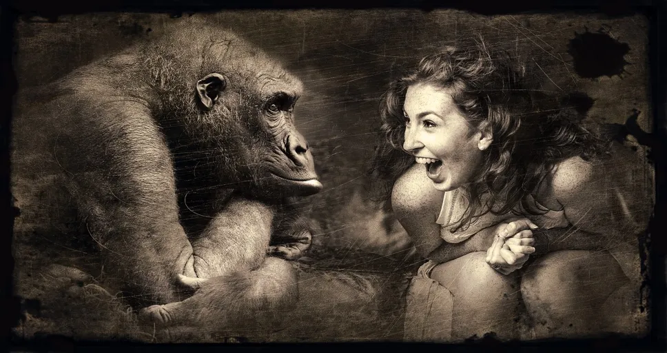 he keeps adding female friends on Instagram - composing, ape, woman