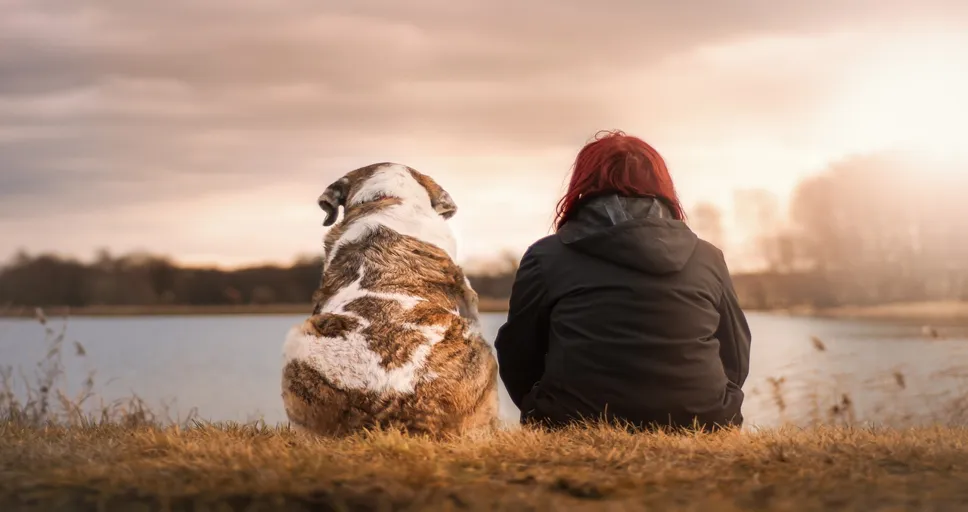 signs a scorpio man just wants to be friends - friends, nature, dog