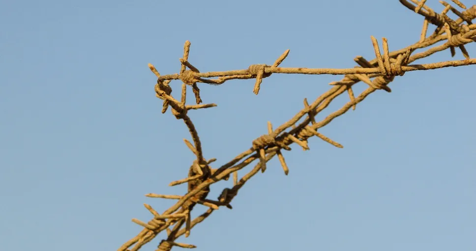 husband female coworker boundaries - wire, fence, barbed