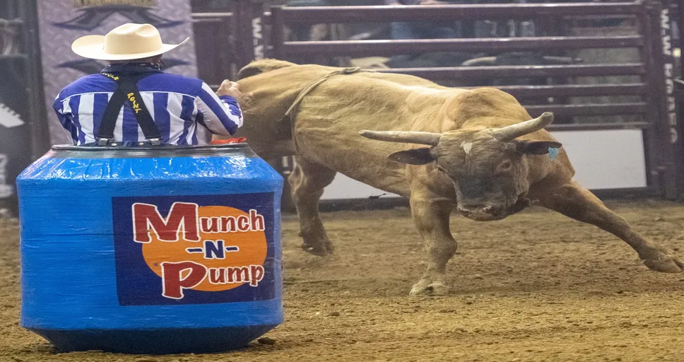 guy looking at phone - clown, rodeo, cowboy