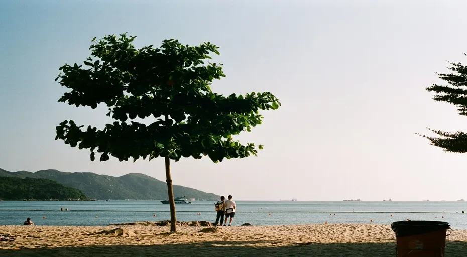 can you love someone and not trust them - beach, nature, sea, ocean, love, couple, sand, holiday, outdoors, love, love, love, love, love