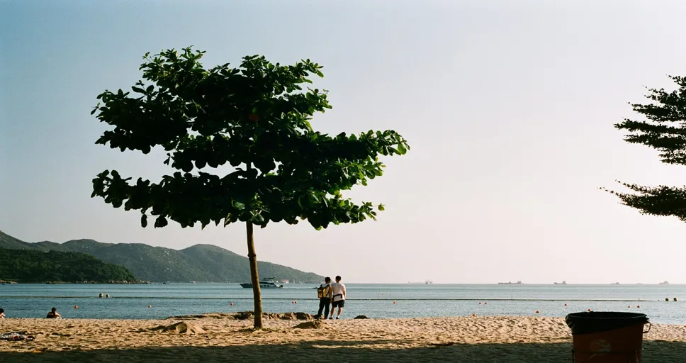 can you love someone and not trust them - beach, nature, sea, ocean, love, couple, sand, holiday, outdoors, love, love, love, love, love